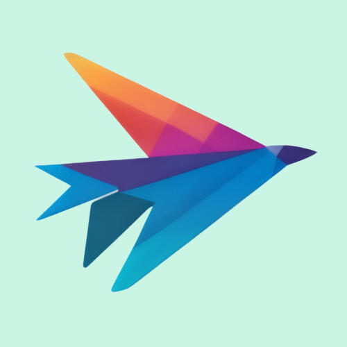 Local Web Pilot Logo